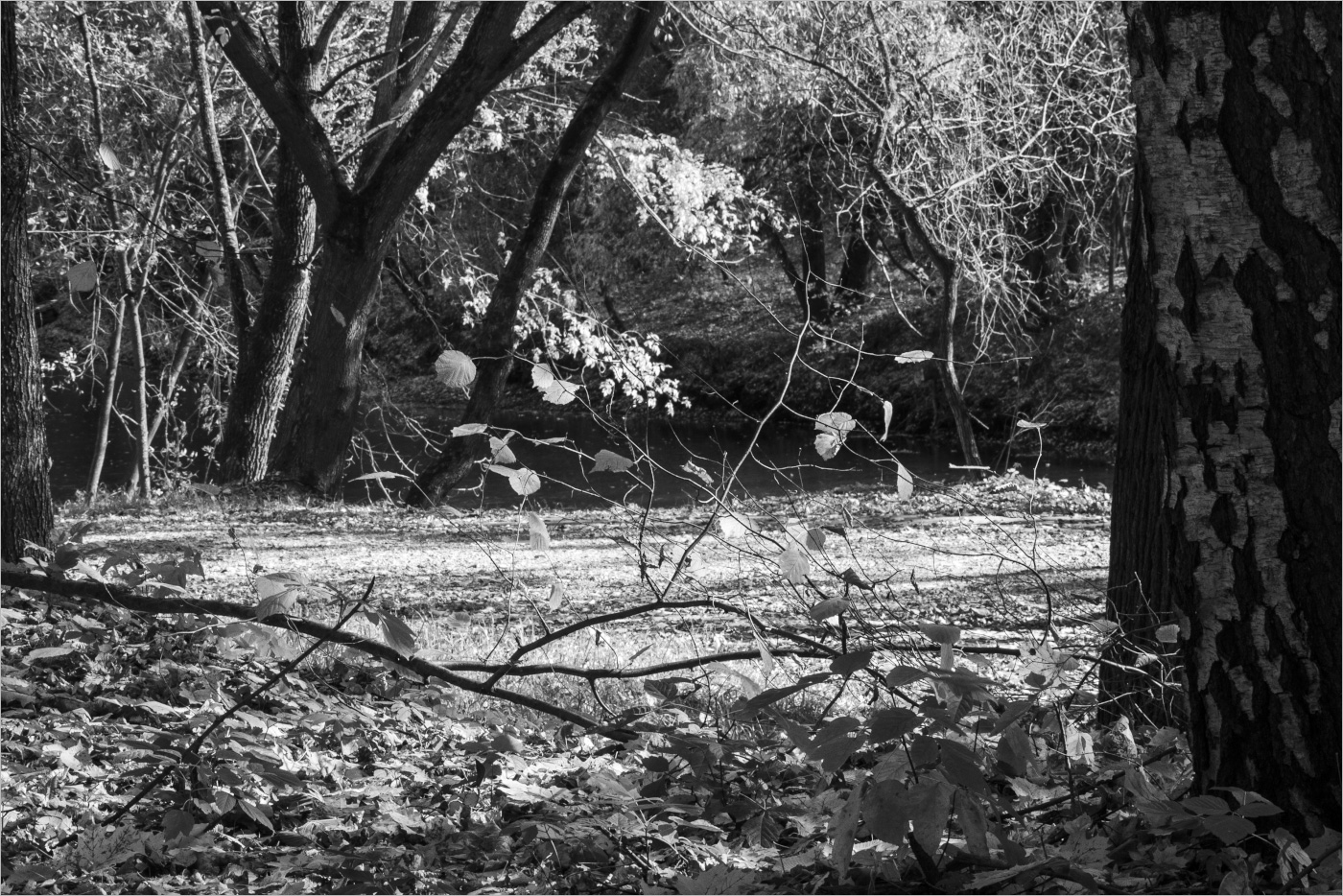 чёрное - белым,