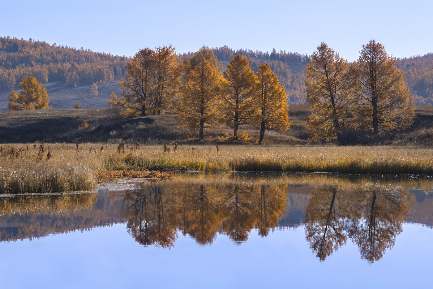 Пересуды у пруда