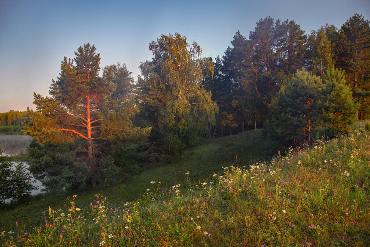 Начинается день.