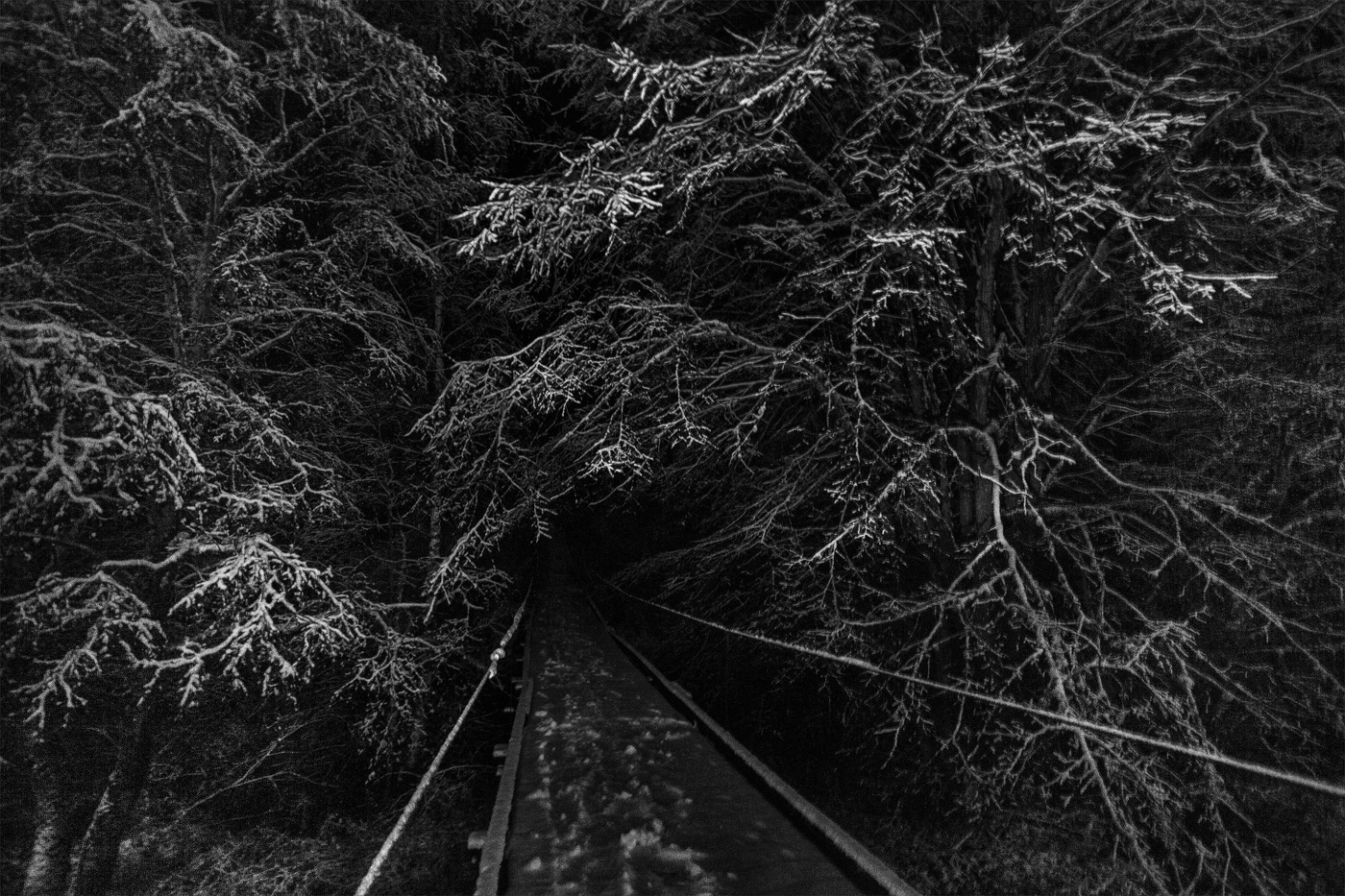 Жизнь вокруг