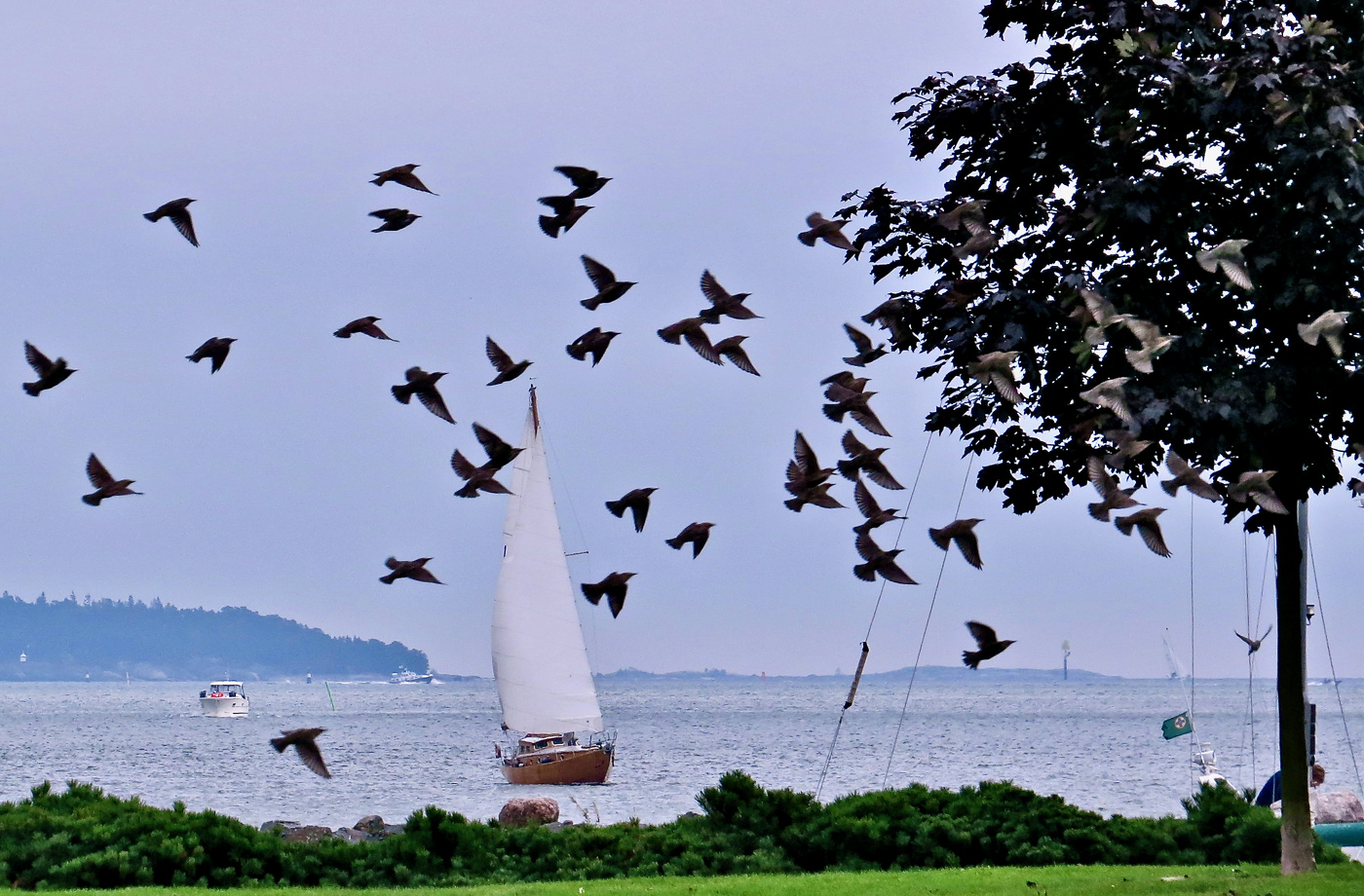 Ещё не облетели листья...