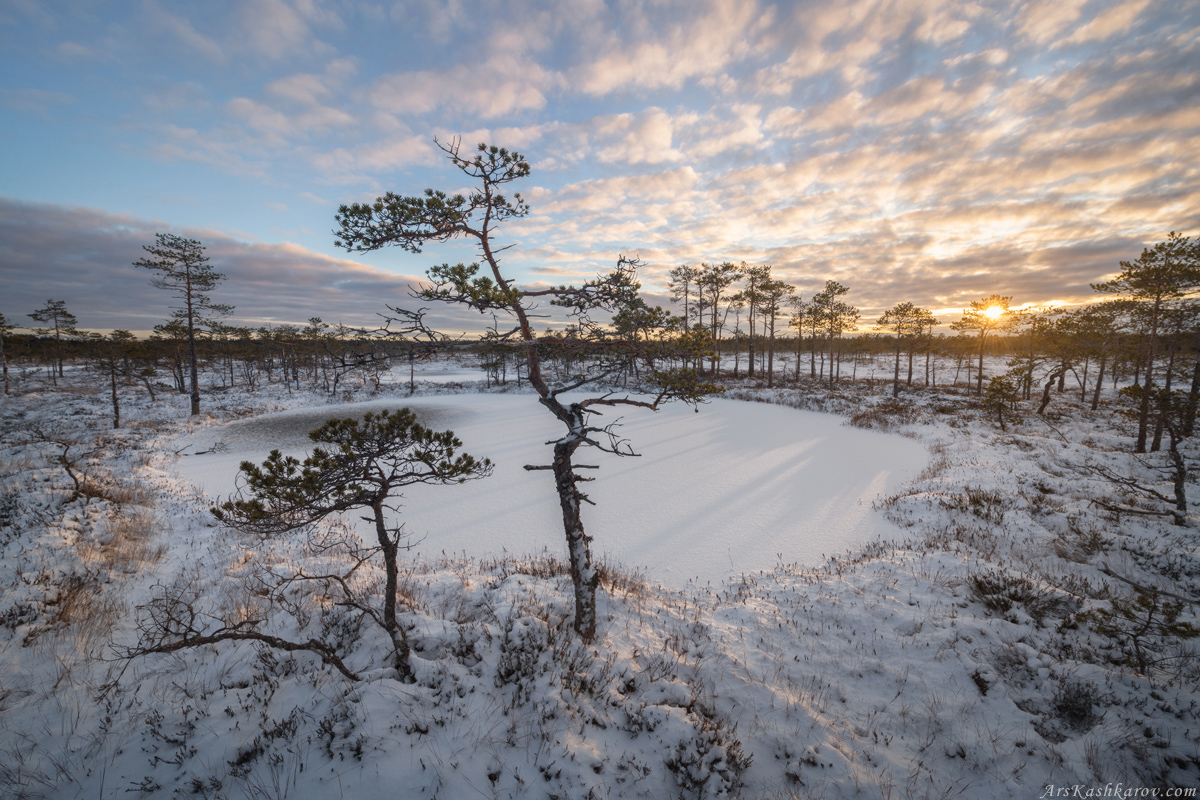 "Замерзшие озерки"