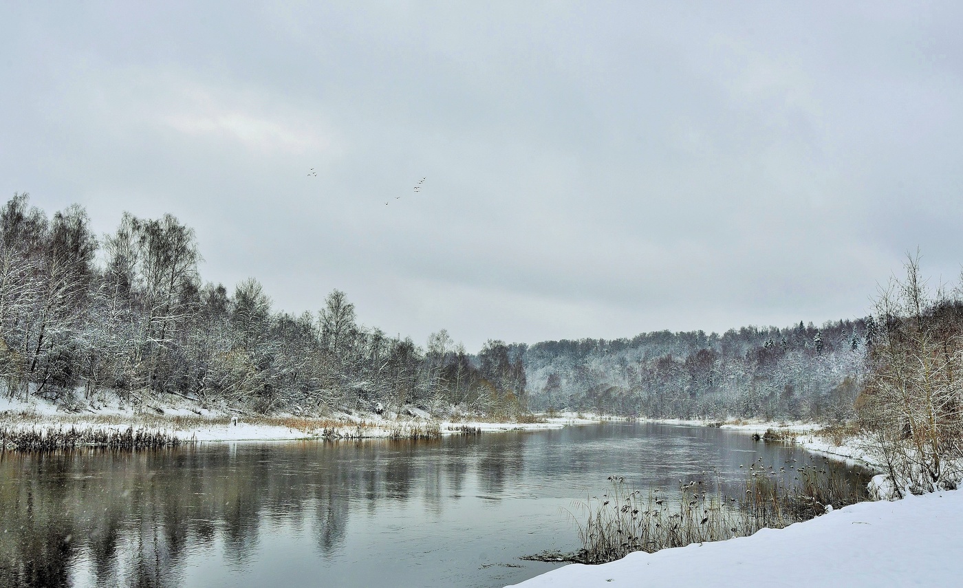 В последних числах ноября ...