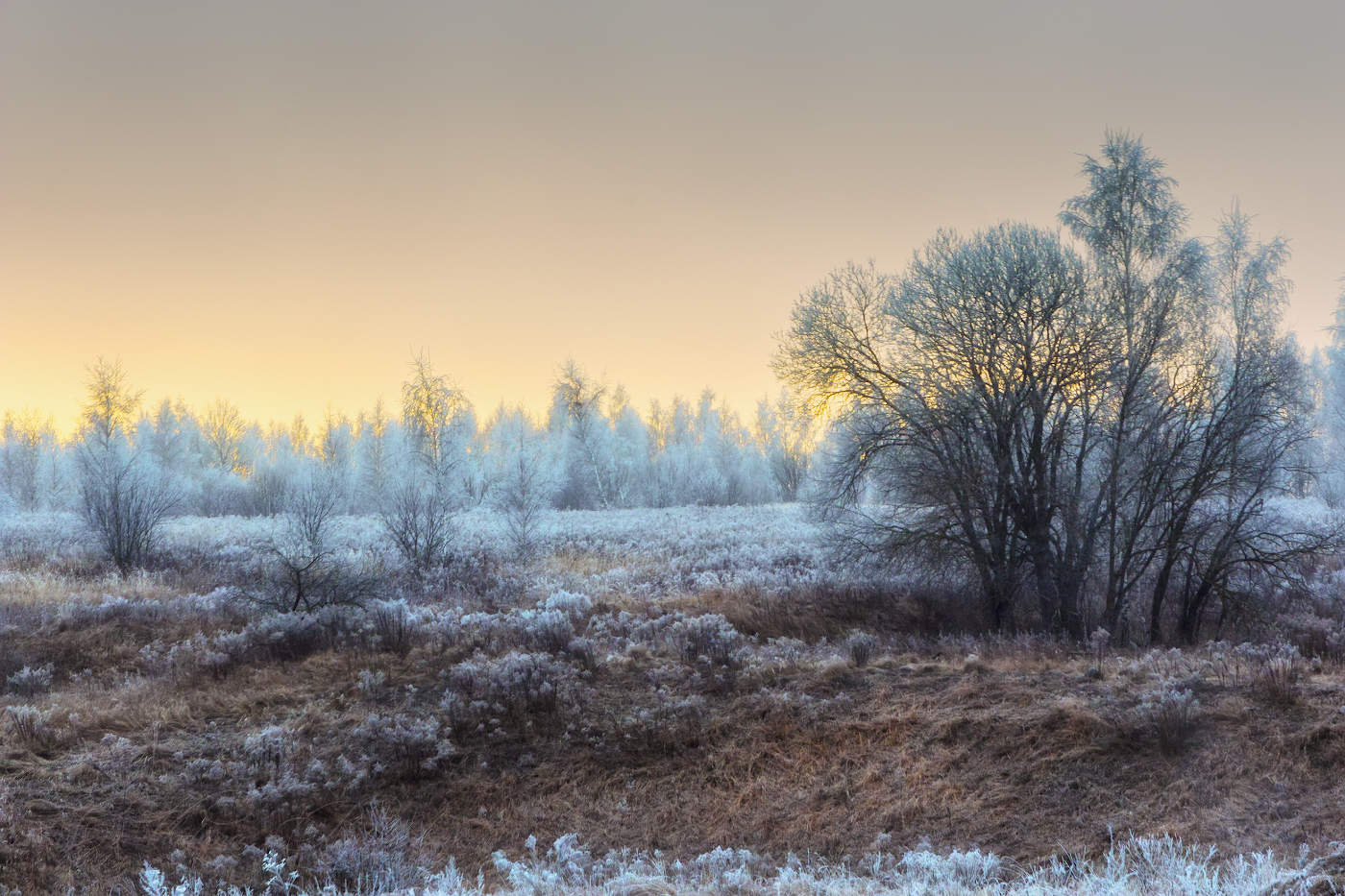 Ноябрьская изморозь