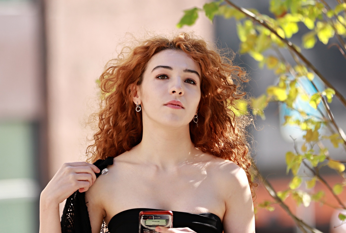 Город и его обитатели