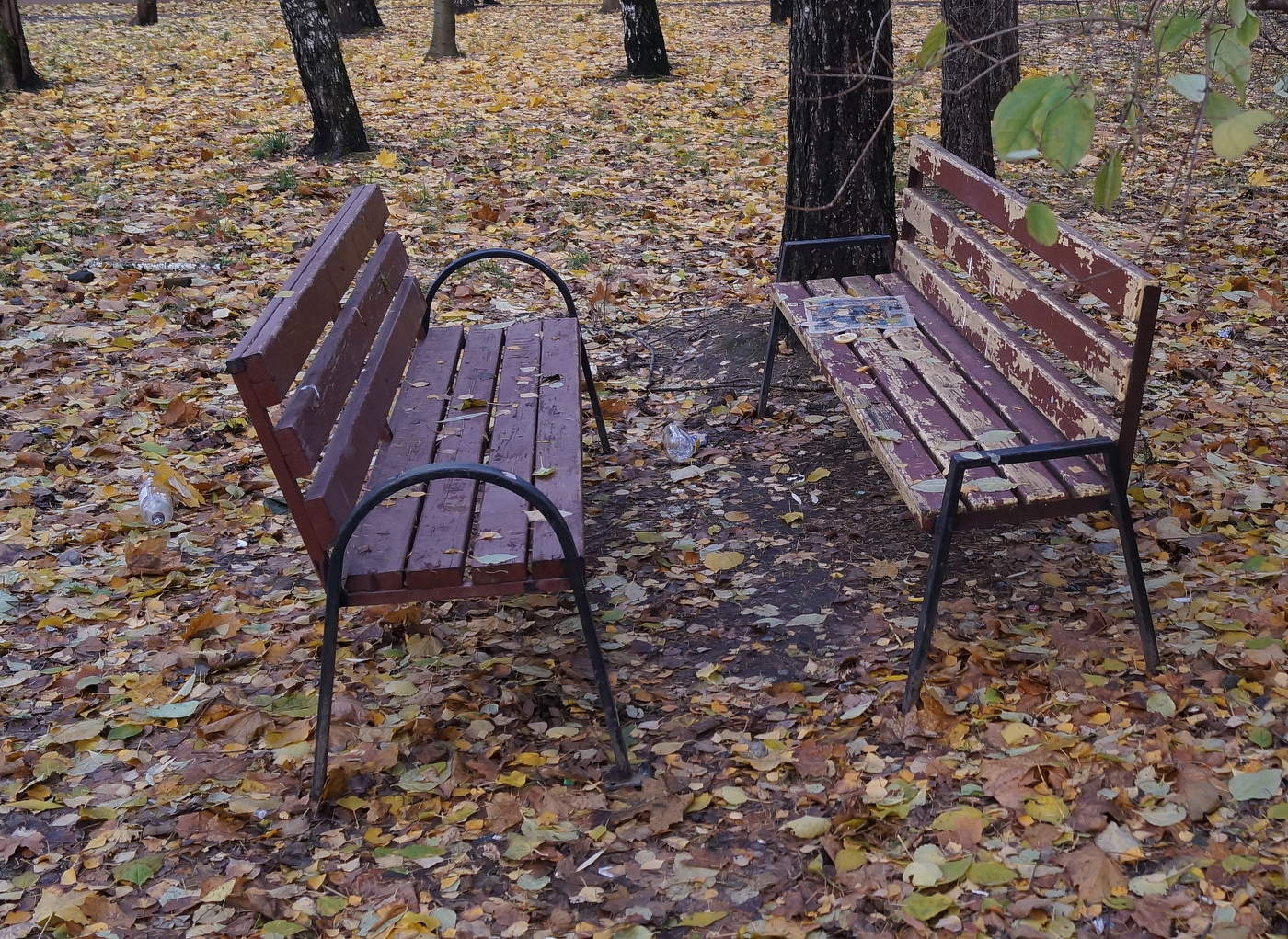 Осенний сюжет