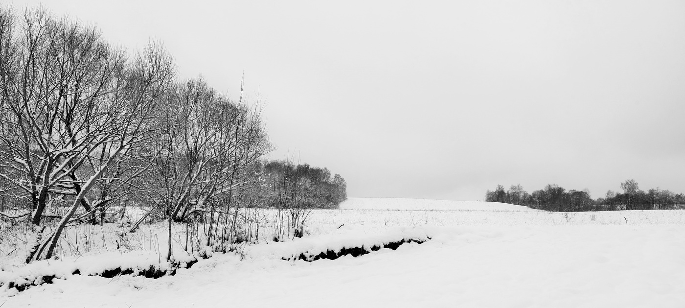 Ноябрьская ипохондрия - серые, унылые дни ...