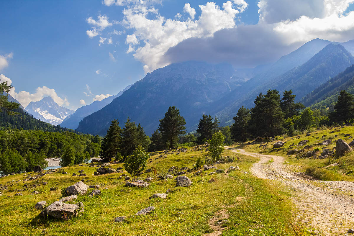 По накатанной дороге