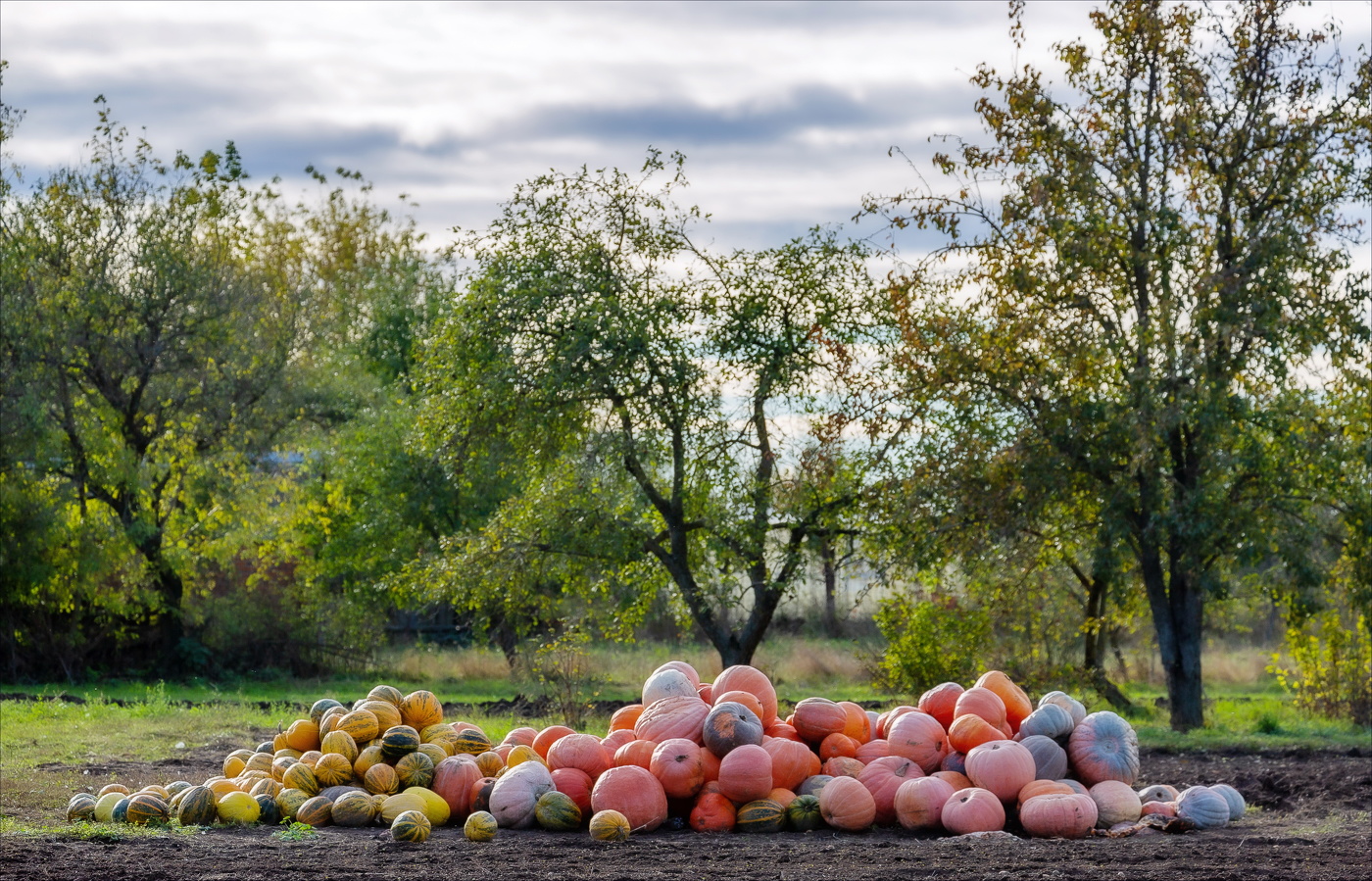 НА ОСЕННЕМ БАЛУ