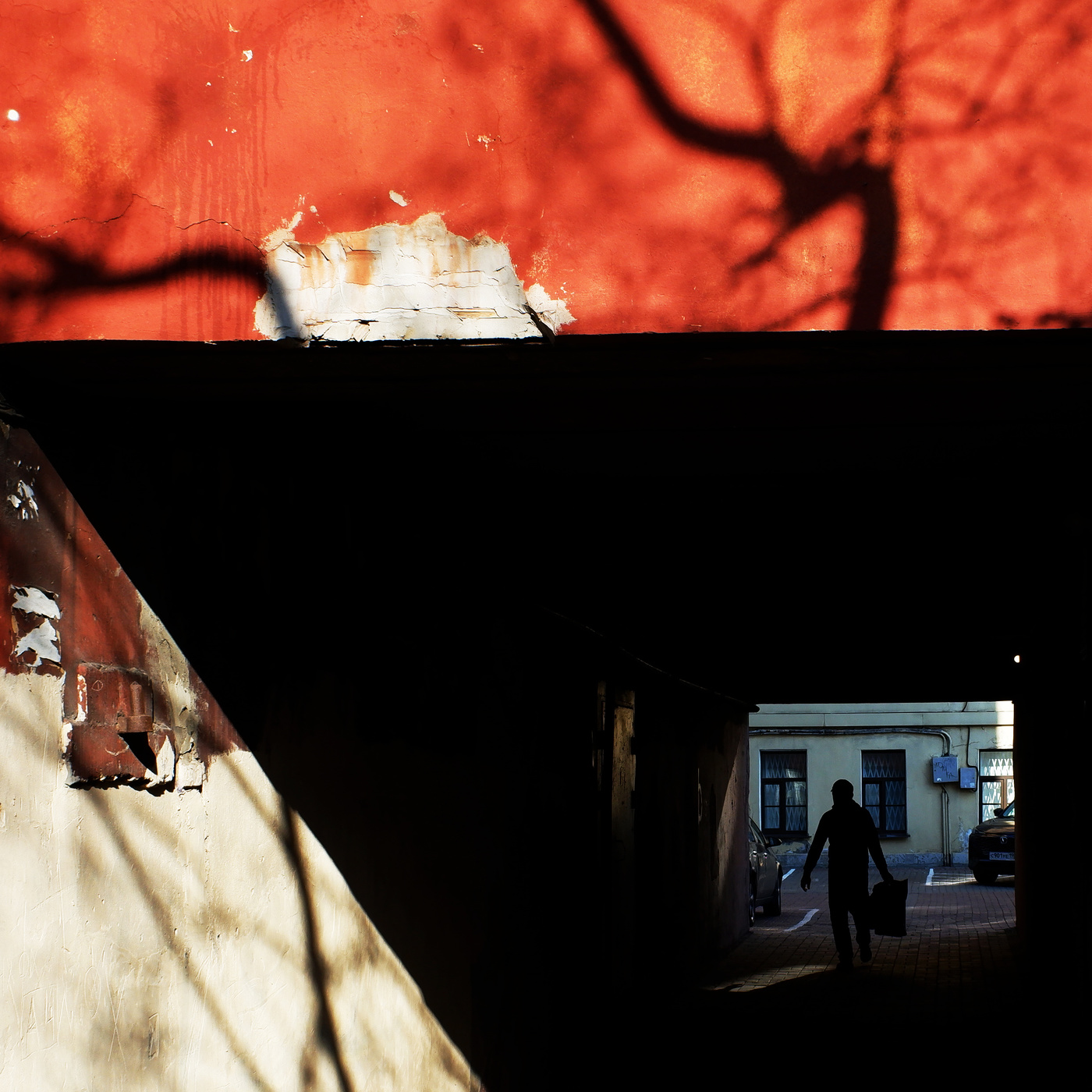 Навстречу солнцу