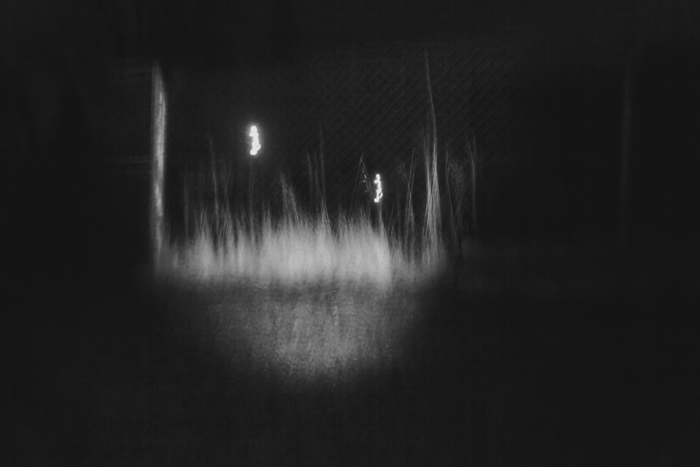 Жизнь вокруг