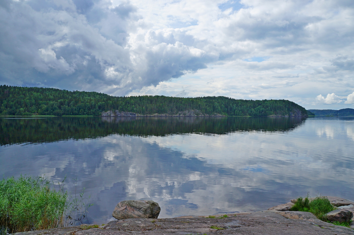 Обратная стреловидность