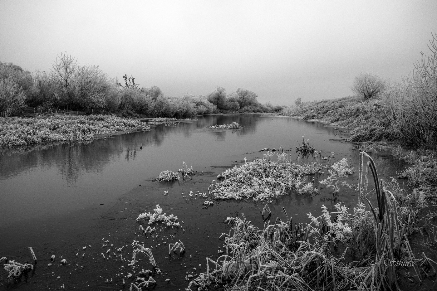 Осеннее серебро.