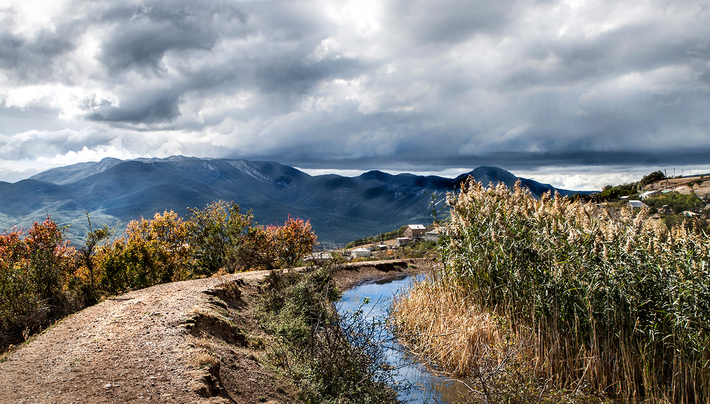 Сельский пруд