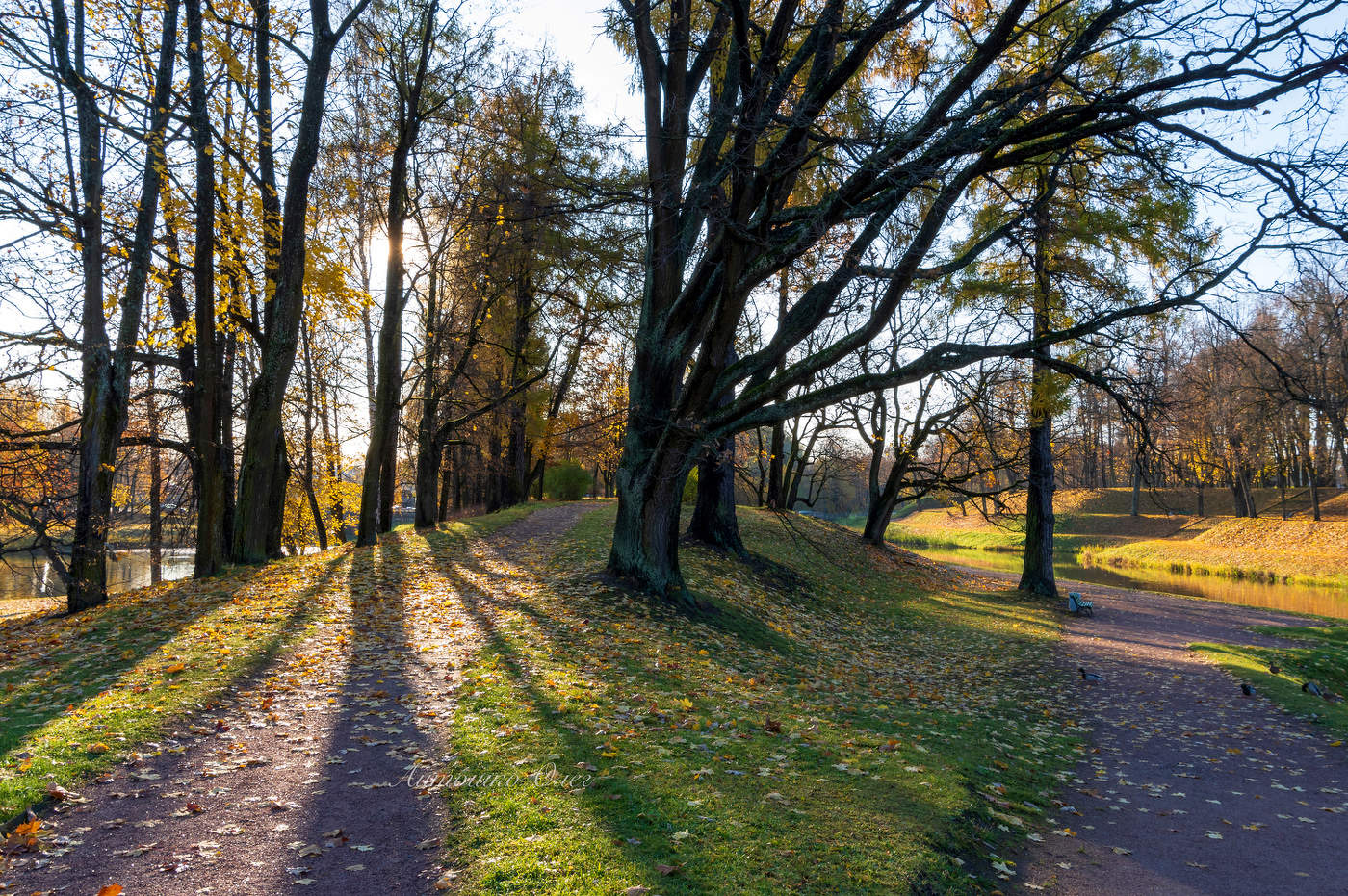 Дворцовый парк. Гатчина.