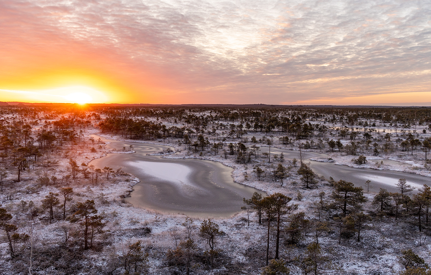 Журавлинные места