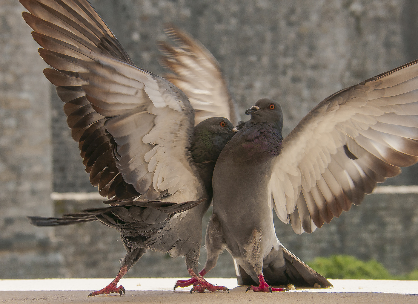 Крутые перцы