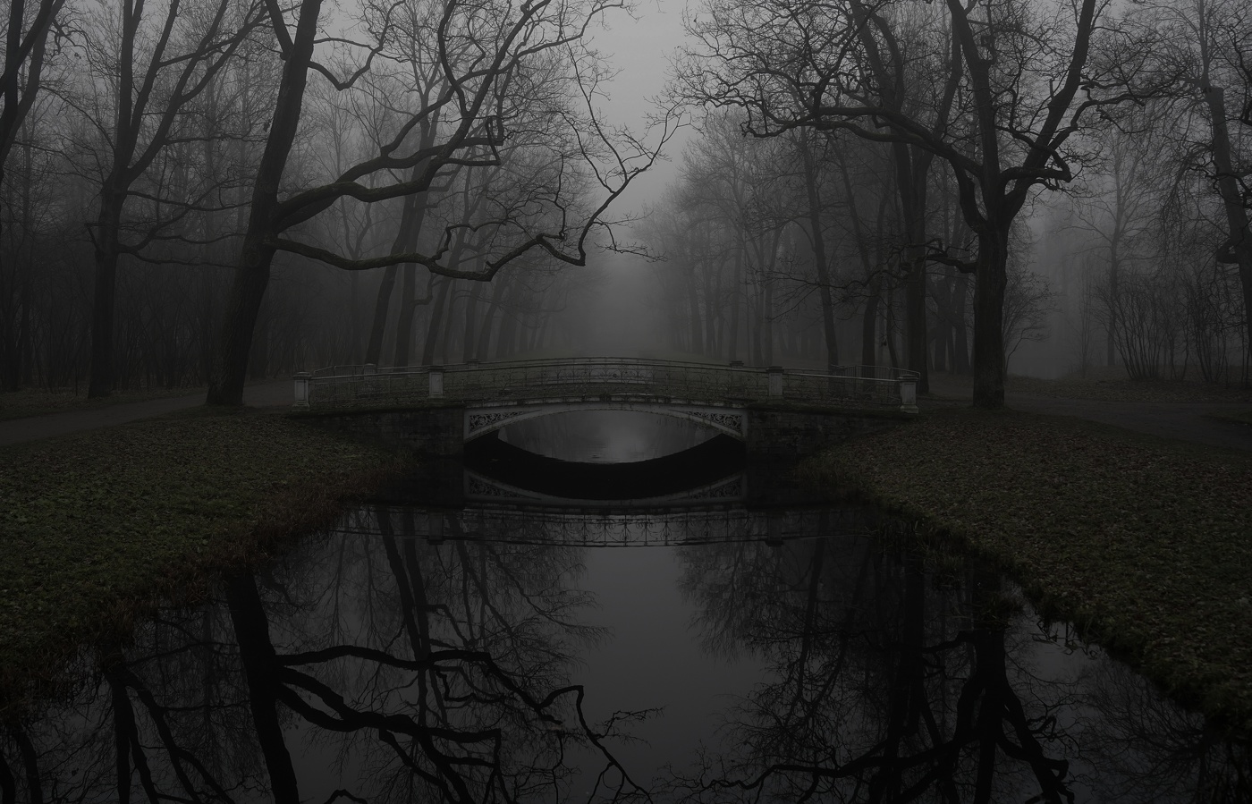 Тёмное утро