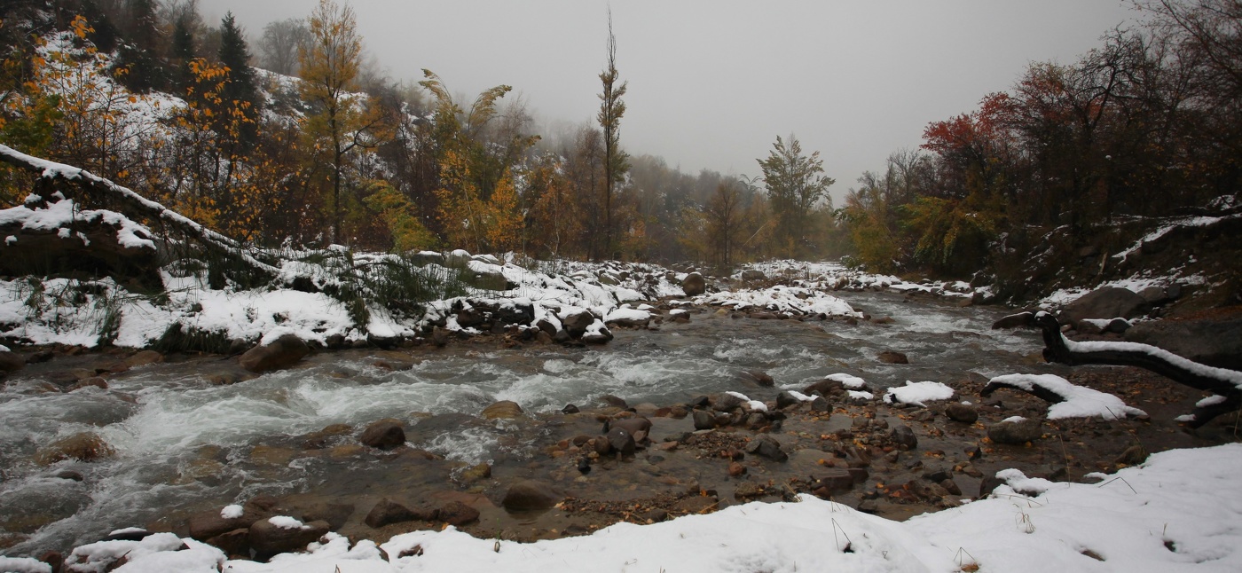 Осень в спешке собирала чемоданы ...