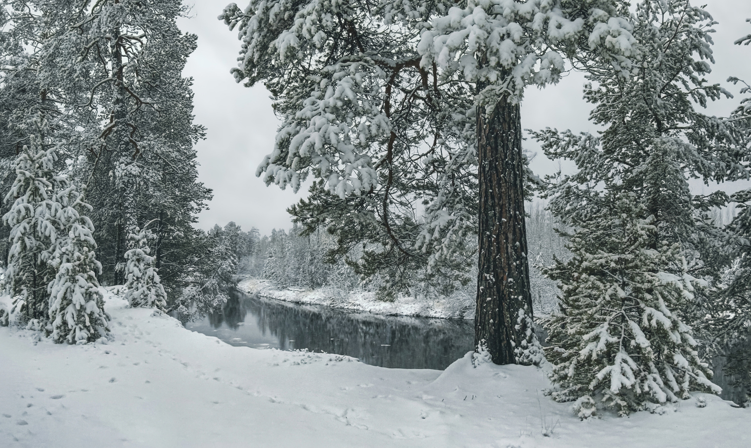 И всё ж ноябрь не январь...
