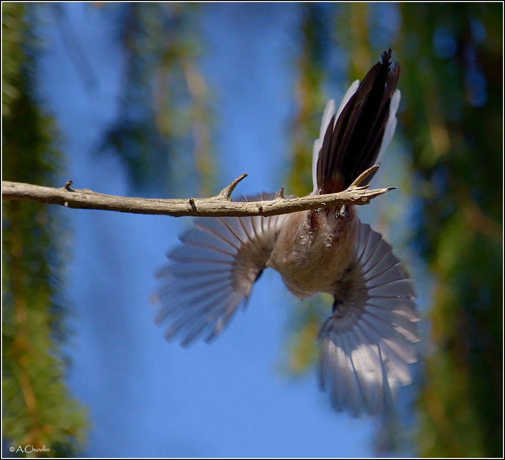 Влетая в весну