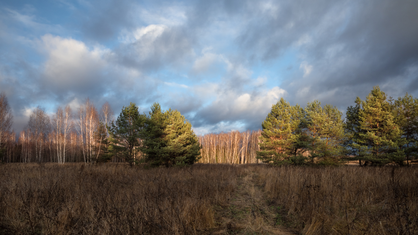 осенним днём