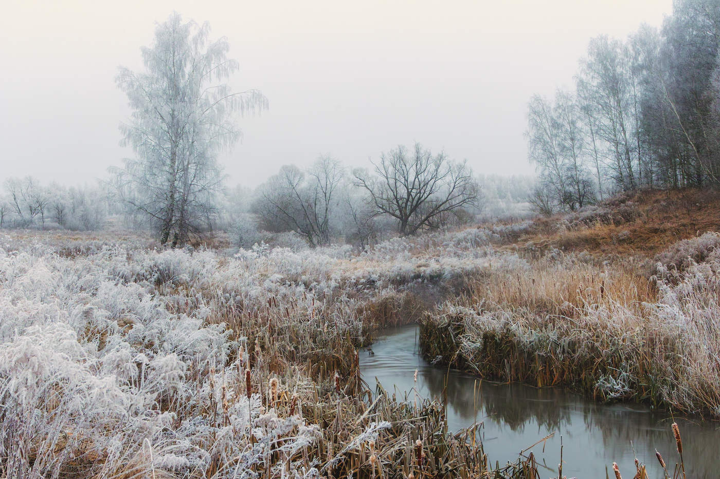 Накануне зимы
