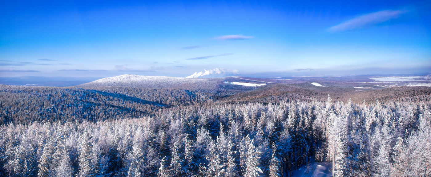Морозный день