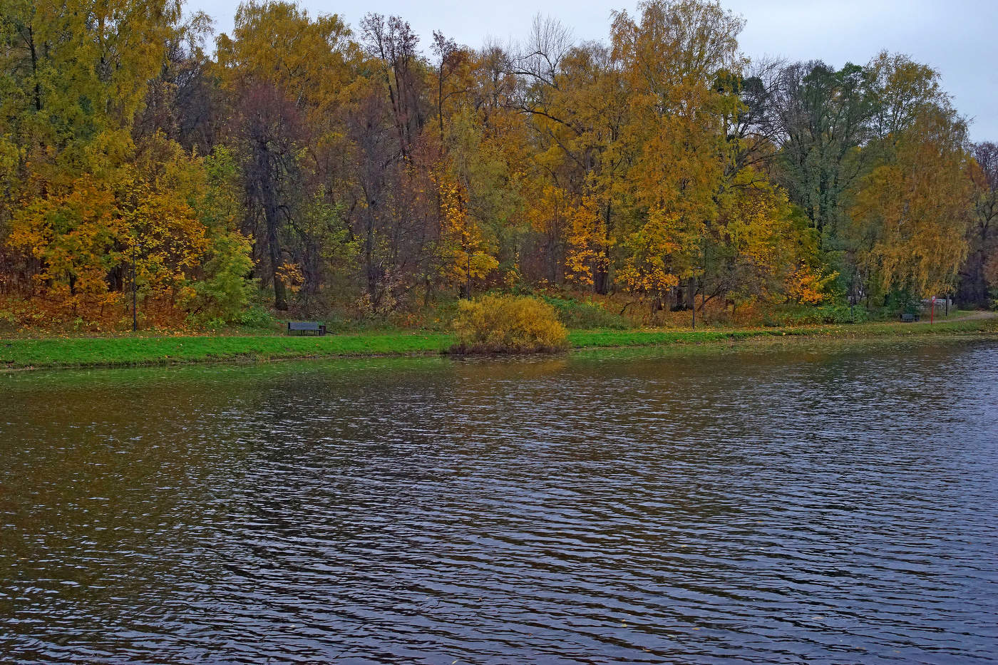 Нижний Кузьминский пруд