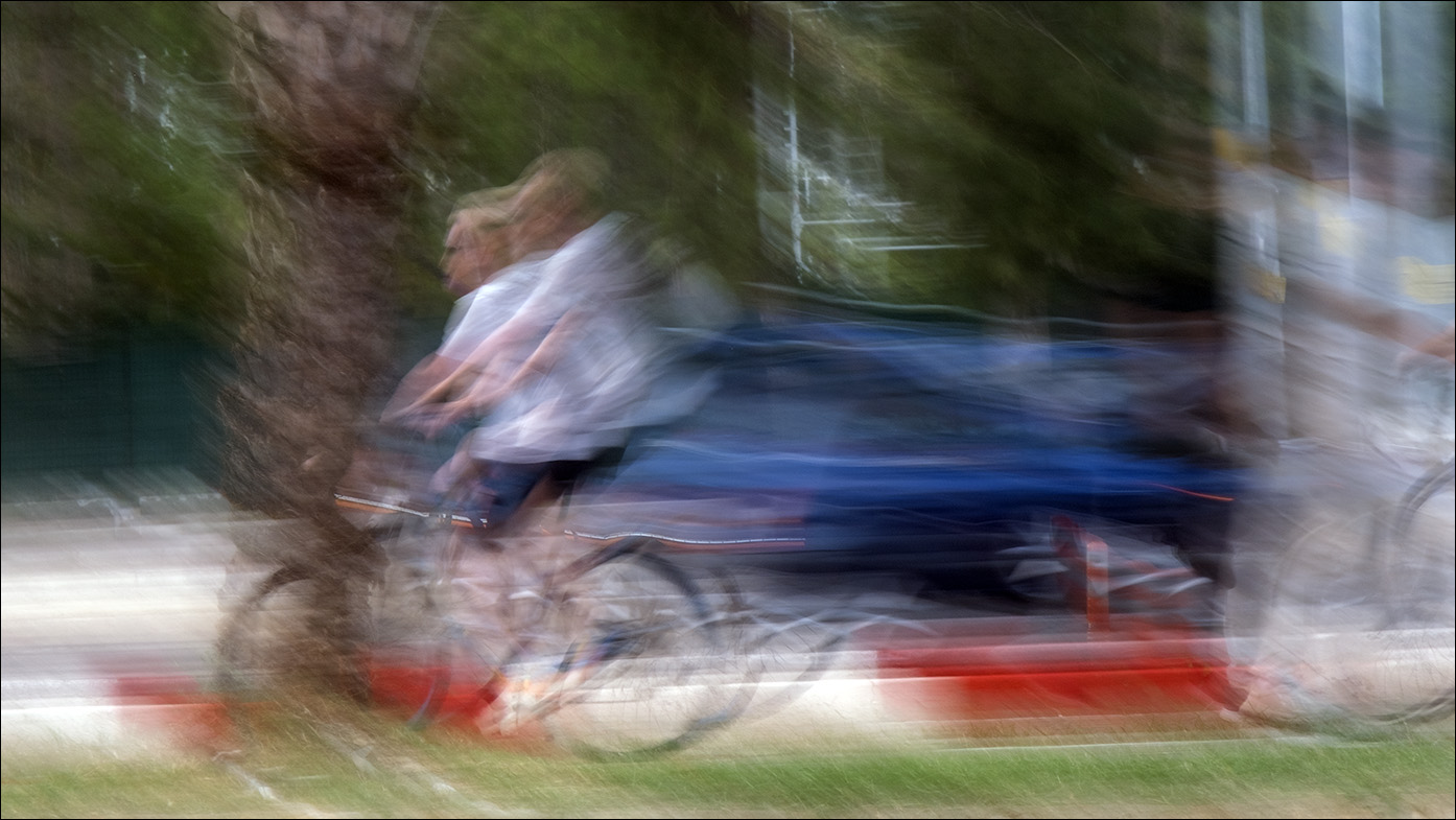 этюд с пальмом