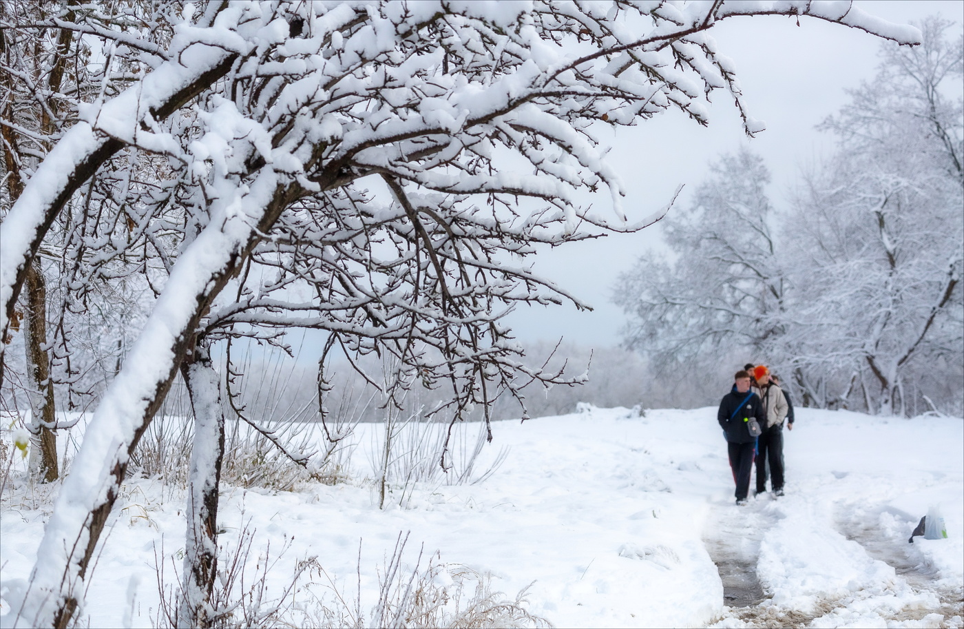 ПЕРВЫЙ СНЕГ