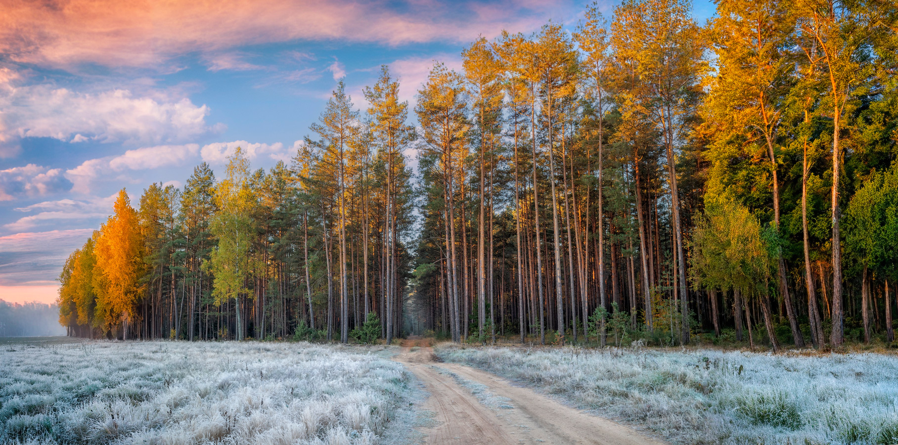 Иней на траве
