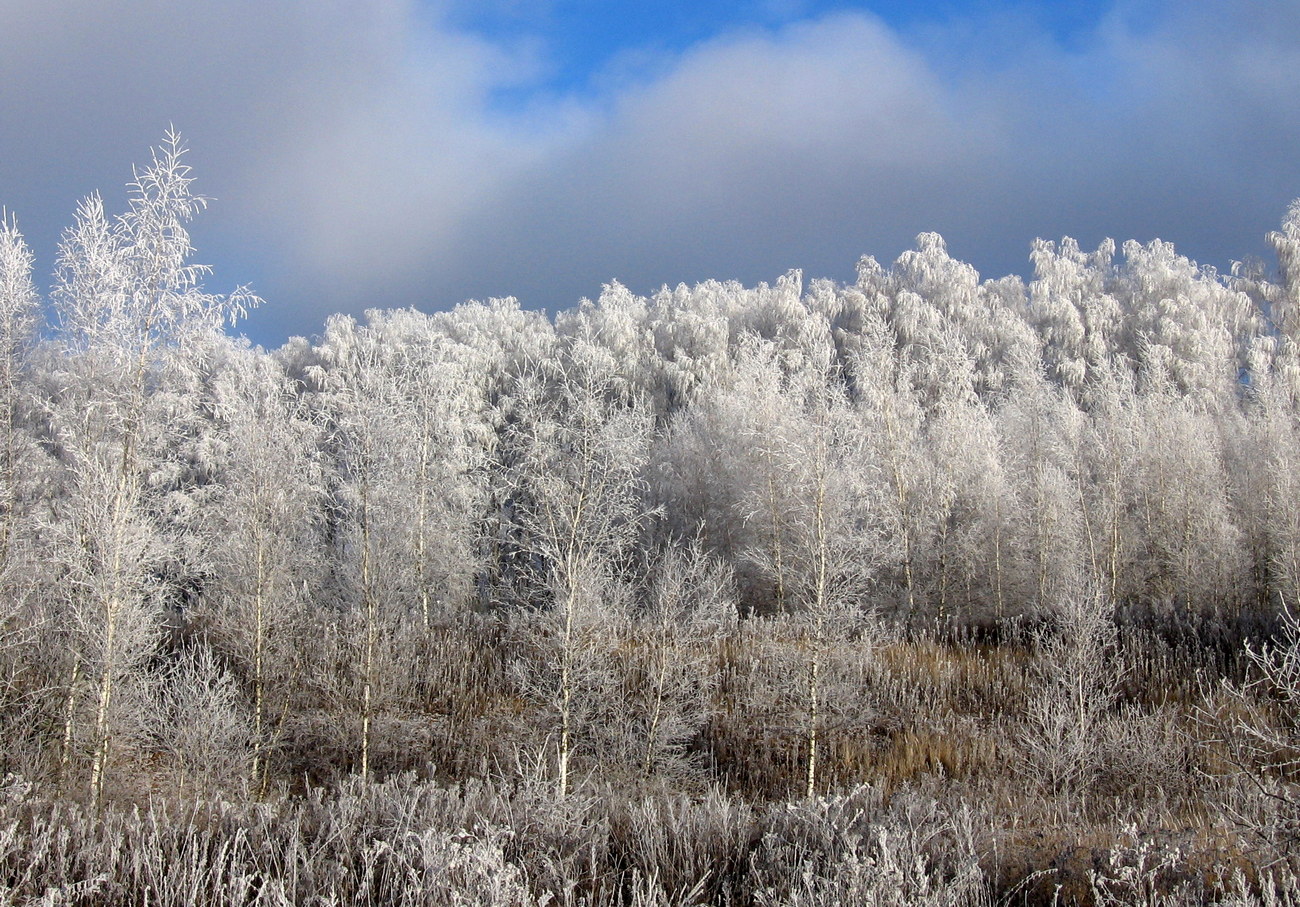 Зимняя сказка