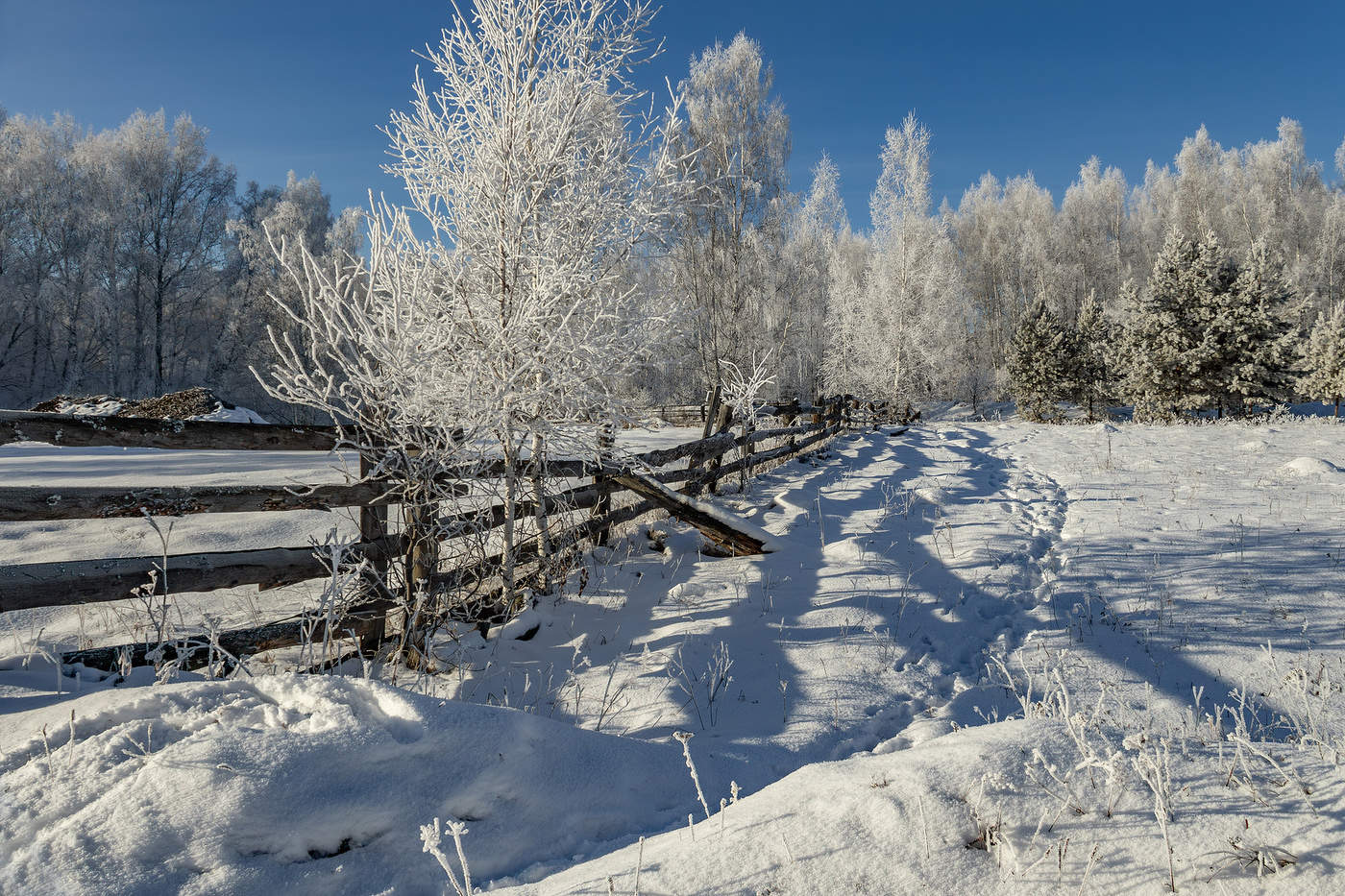 Последние дни осени
