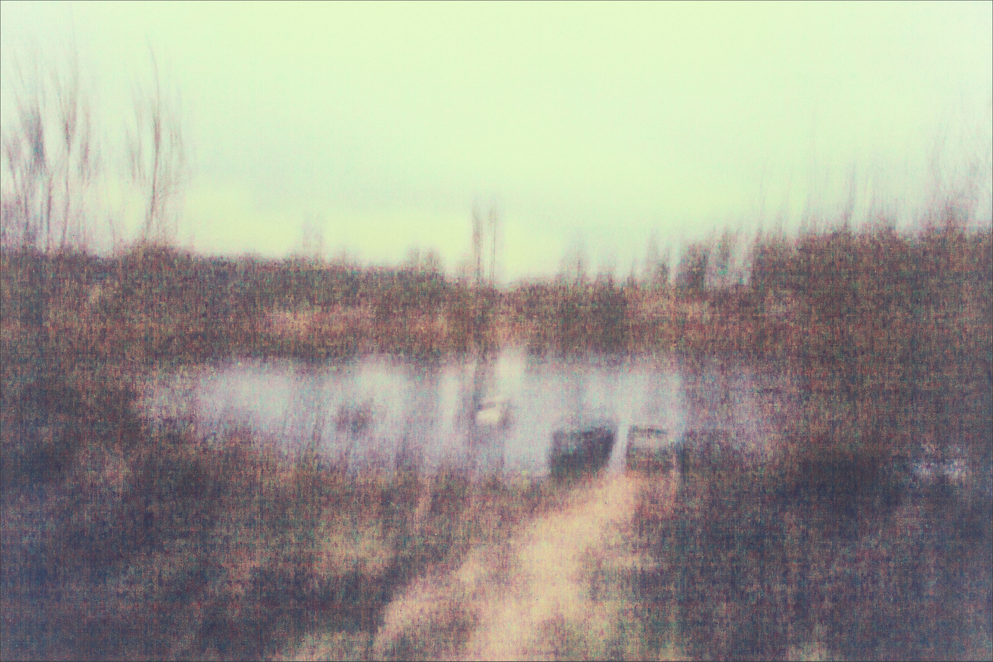 Жизнь вокруг