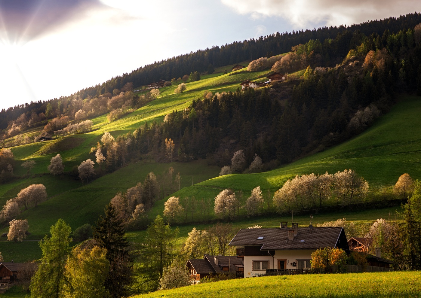 На склоне...