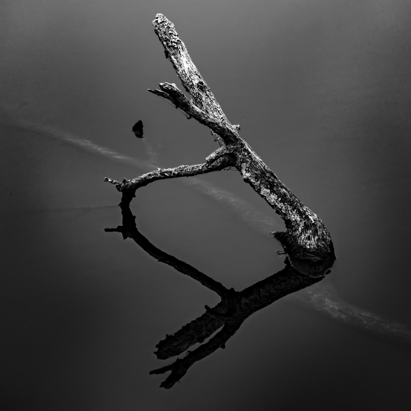 Сезон молчания.