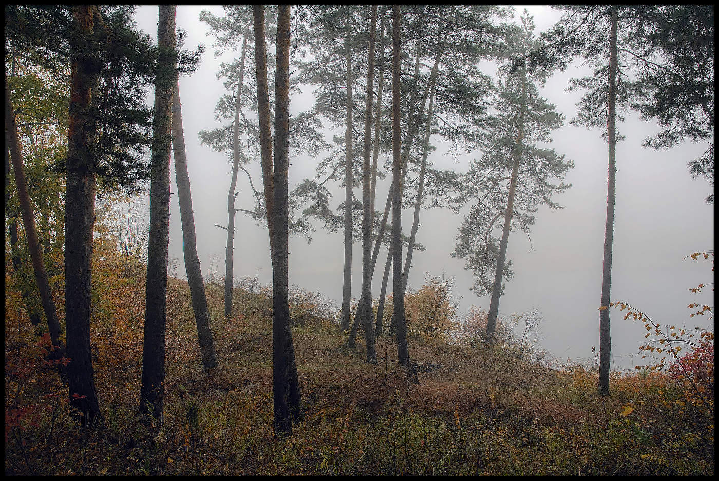 Утро туманное