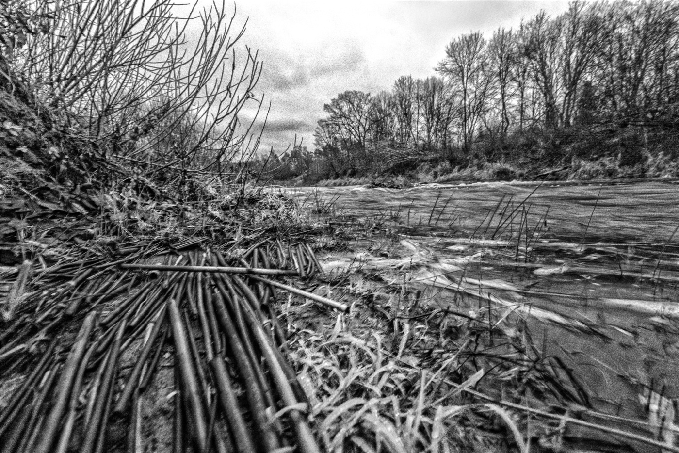 Жизнь вокруг