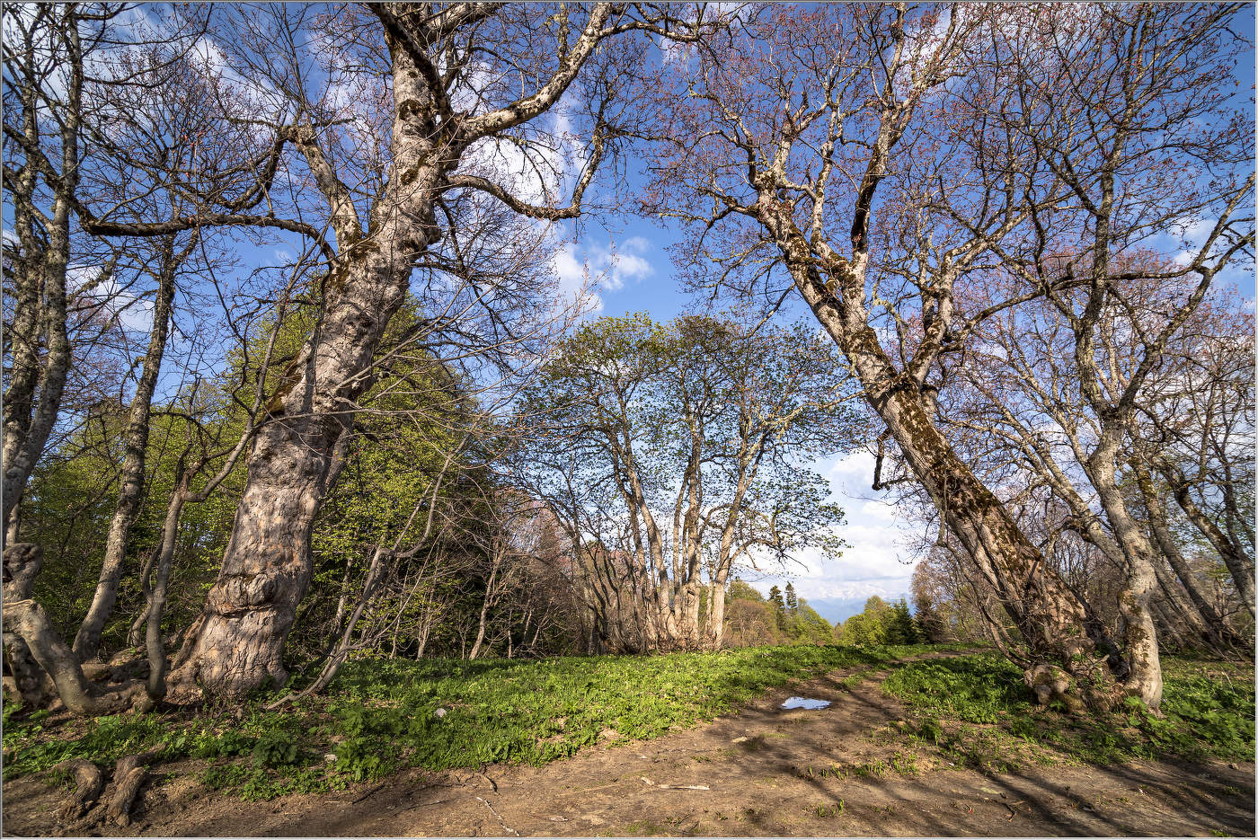 Среди поклонников