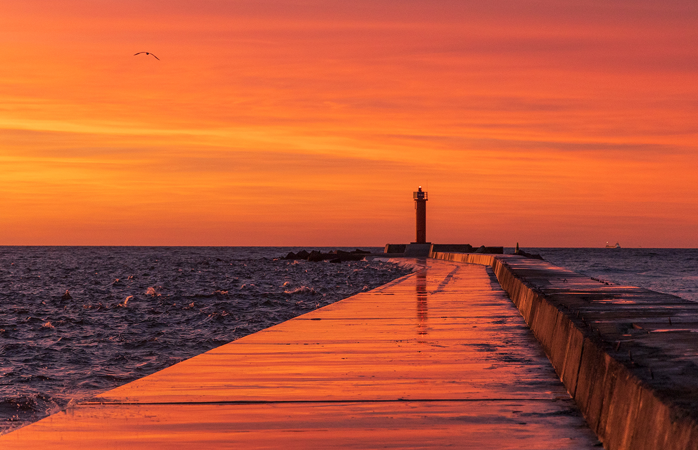Огни на рейде
