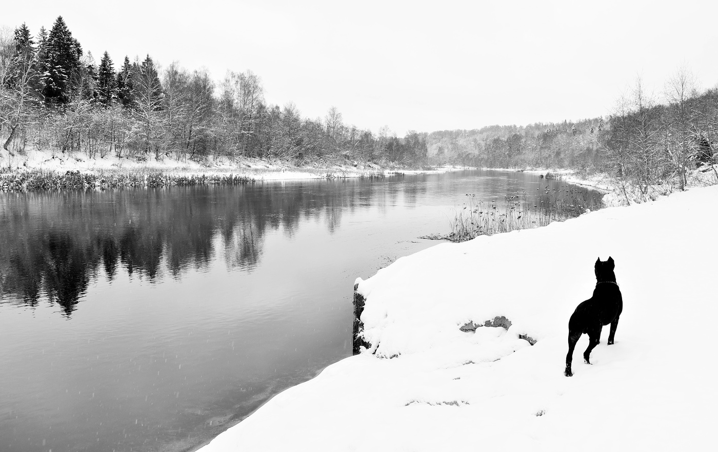 "Все кругом белым-бело ..."
