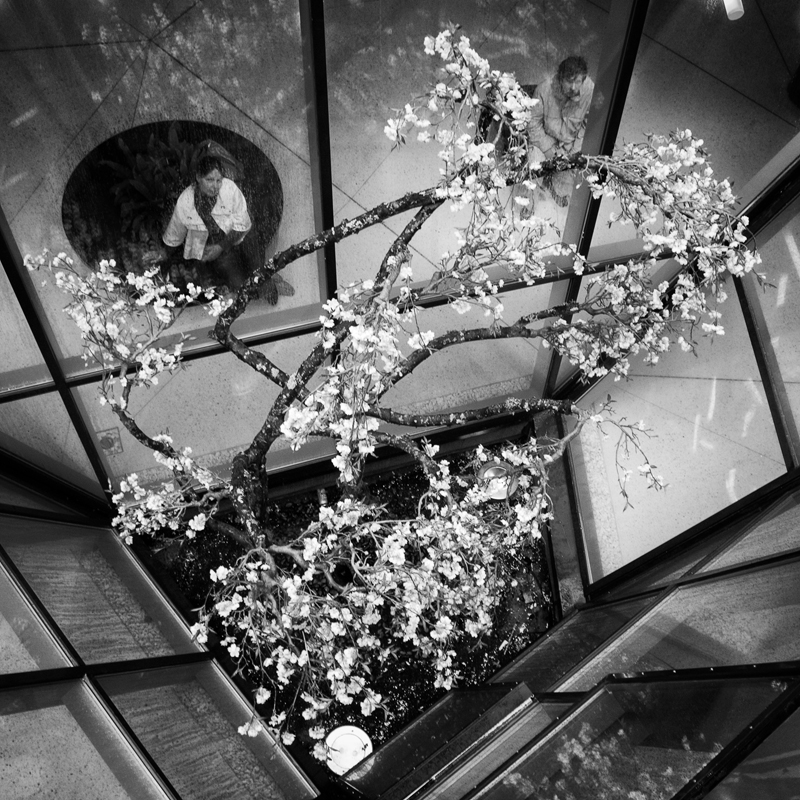 Я на тебя гляжу дыша