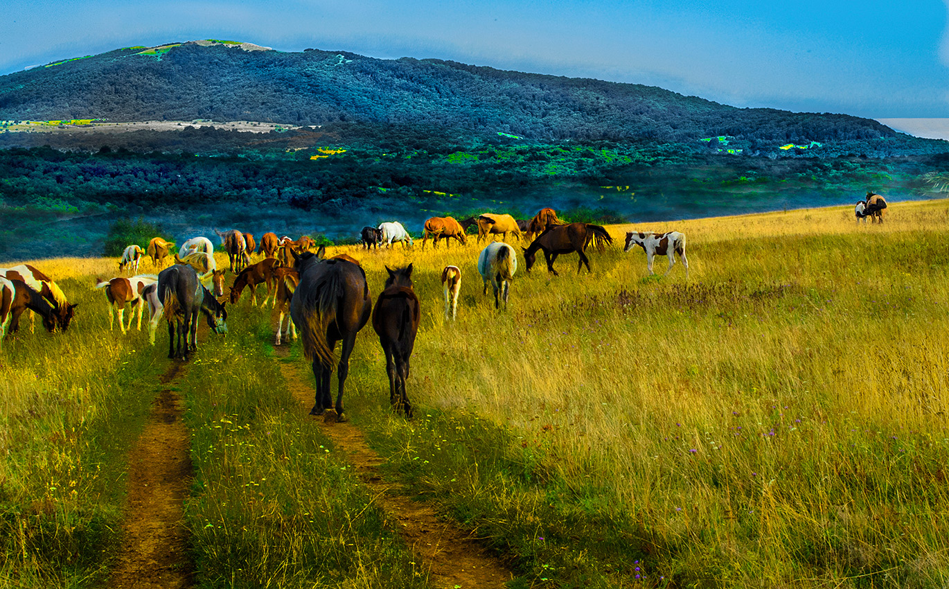 На закате осени