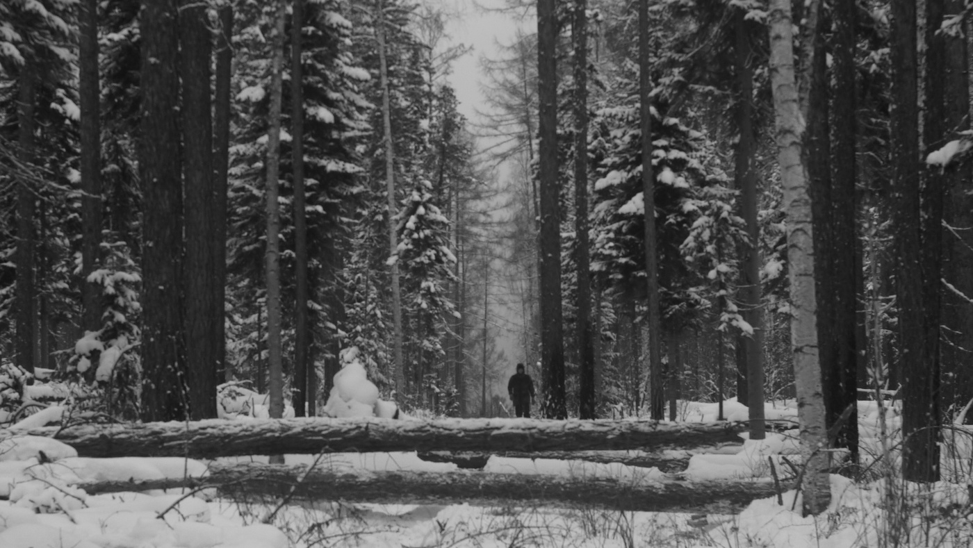 Места таёжные.