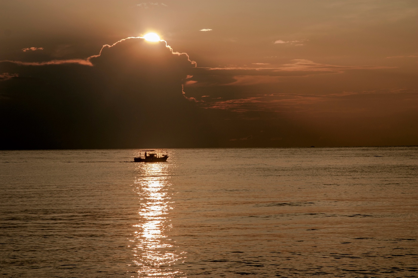 Тревожное утро...