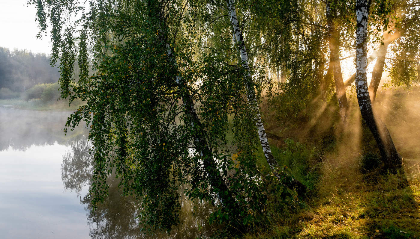 Утро на озере.