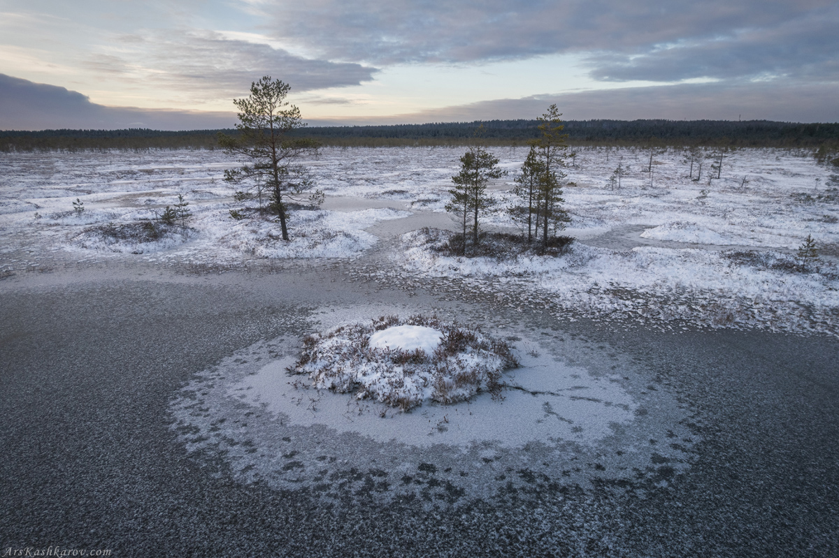 "Формы и фактуры зимних болот"