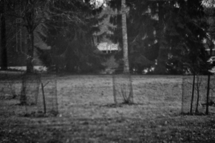 Скоро зима V