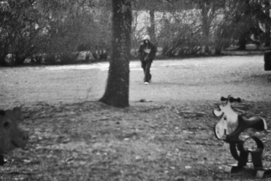 Скоро зима II